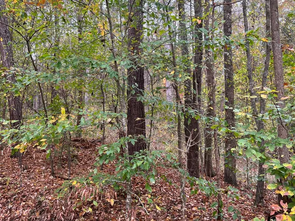 0 Baugh Mountain Rd NW, Sugar Valley, GA 30746