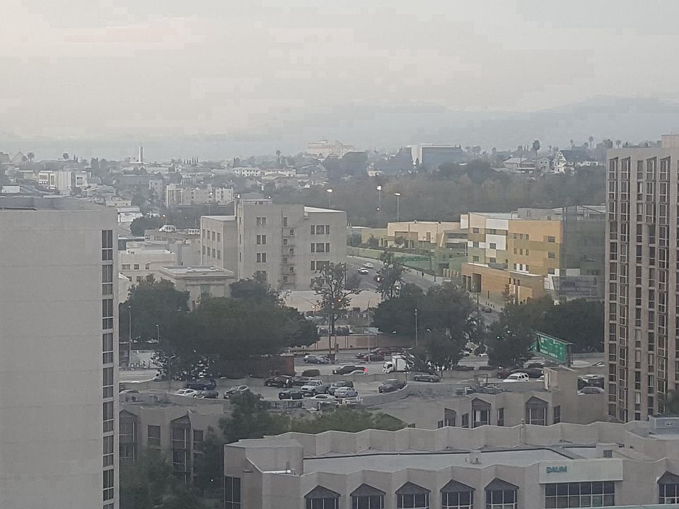 Your view to the West looking at the Hollywood sign and Grif