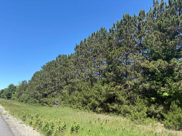 Butwell Rd, Bear Lake, MI 49614