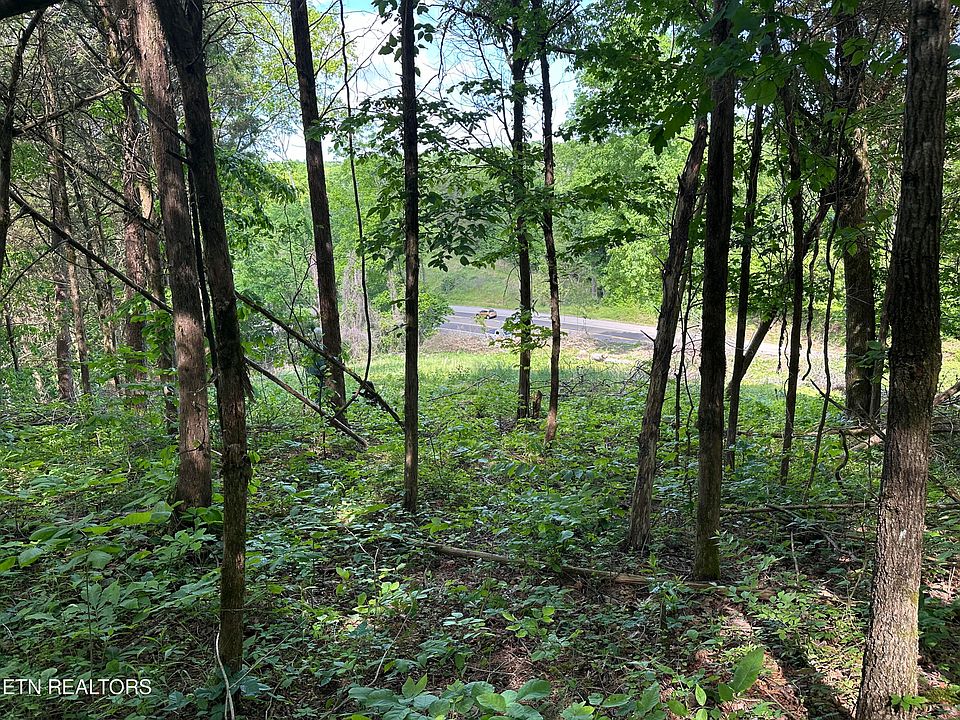 13677 Chapman Hwy, Seymour, TN 37865 Zillow