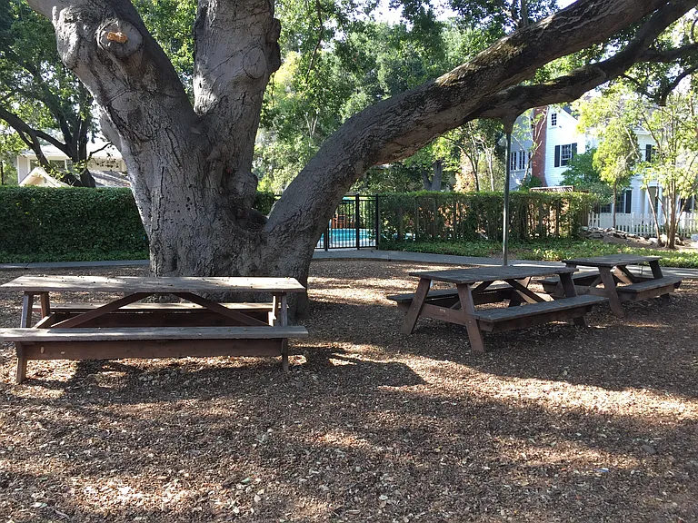 960 N San Antonio Rd #212 — Photo 14