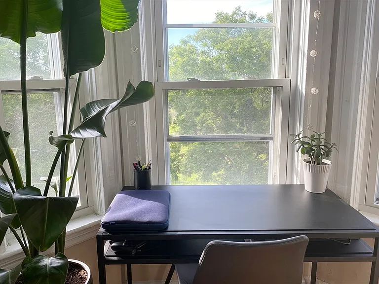 643 Saratoga St #3 — Photo 3