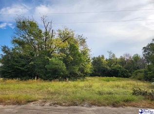 2302 Treasure Cv, Latta, SC 29565