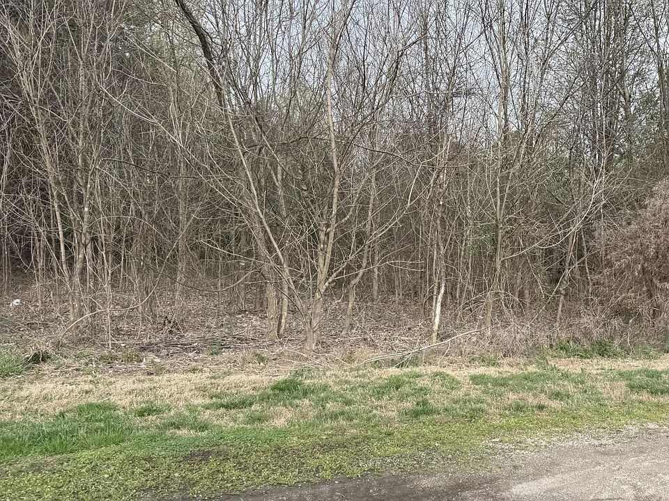1st image of 106 Raintree Ln