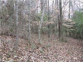 2nd image of 2920 Stardust Dr