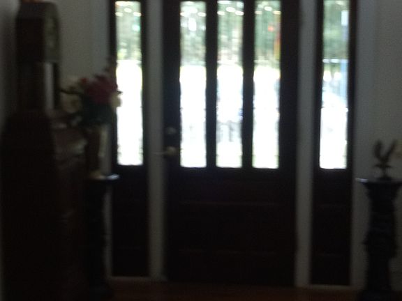 Elegant Front door