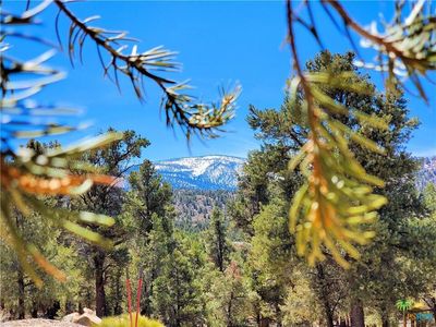 0 Ponderosa Ranch Rd, Big Bear City, CA, 92314