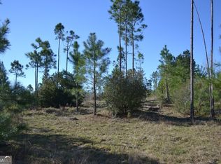 0 Williamson Dr, Hazlehurst, GA 31539