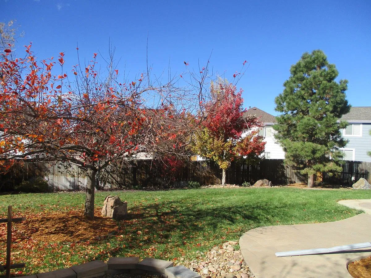 4 bed, 2375 sqft, $3,200 — Photo 3