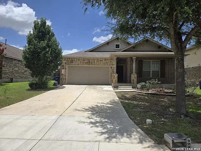 2738 Cinnamon Teal