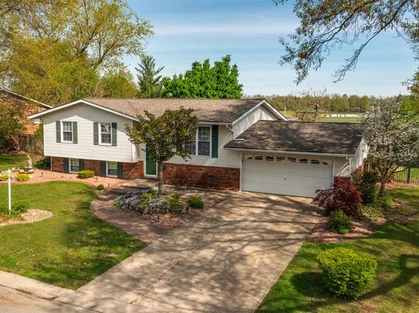 807 W Miller Dr, Staunton, IL 62088