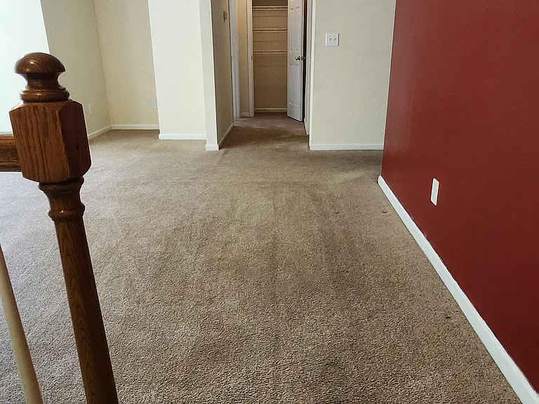 429 Buttonbush Ct — Photo 15