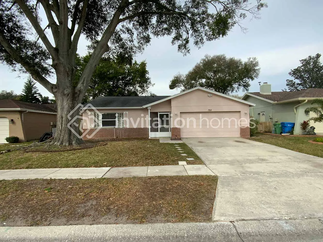 1752 E Groveleaf Ave Palm Harbor, FL 34683 — Photo 1