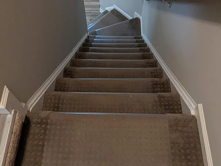 1875 Tiger Lily Cir — Photo 4