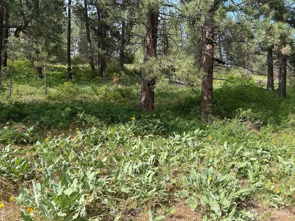 0 xxx W 6th Street, Cle Elum, WA 98922