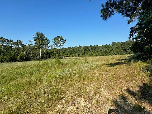 2nd image of 0 Wolf River Rd