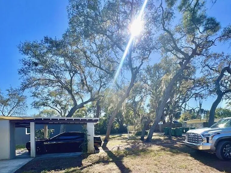 1868 Pineapple Ave — Photo 13