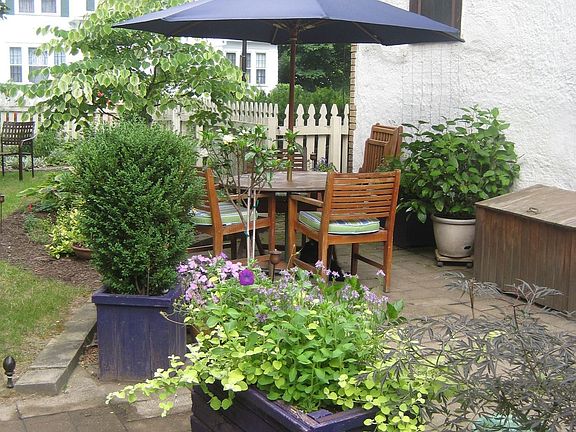 Patio and fenced yard
