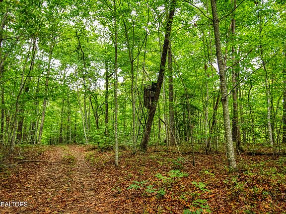 3rd image of 6549 Old Mount Helen Rd