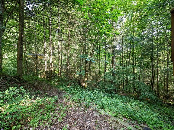 5th image of 3556 Right Fork Fixer Rd