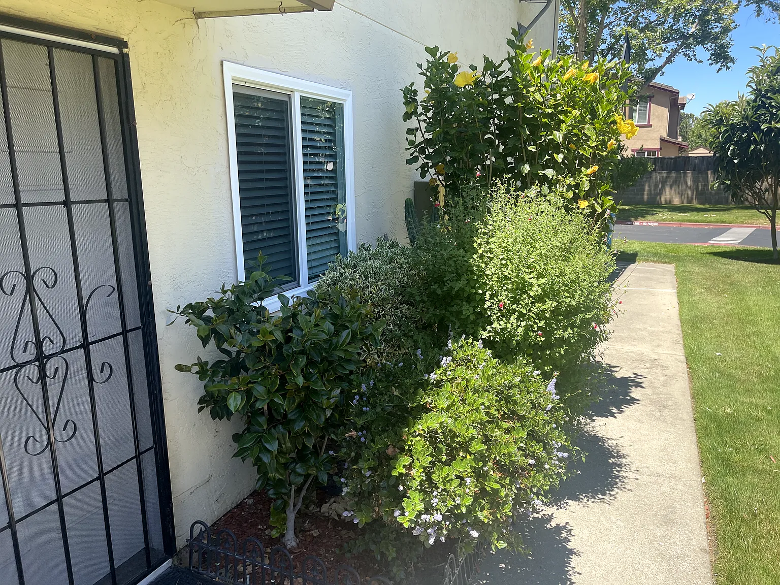 2 bed, 903 sqft, $2,800 — Photo 3