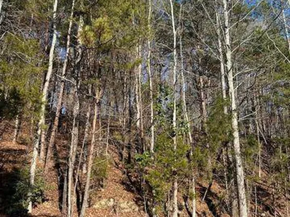 4 Lower River Rd NW Lot 4, Charleston, TN 37310