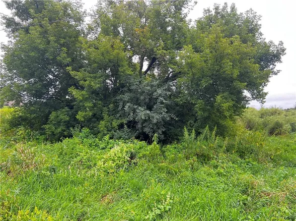 Lots 20 & 21 250th Street, Cadott, WI 54727