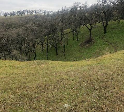 4th image of 22165 Oak Run Pl
