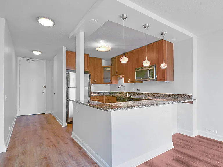 405 N Wabash Ave #1401 — Photo 4
