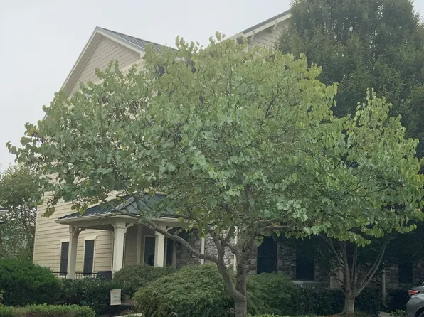 224 Waterside Cir #12, Andersonville, TN 37705