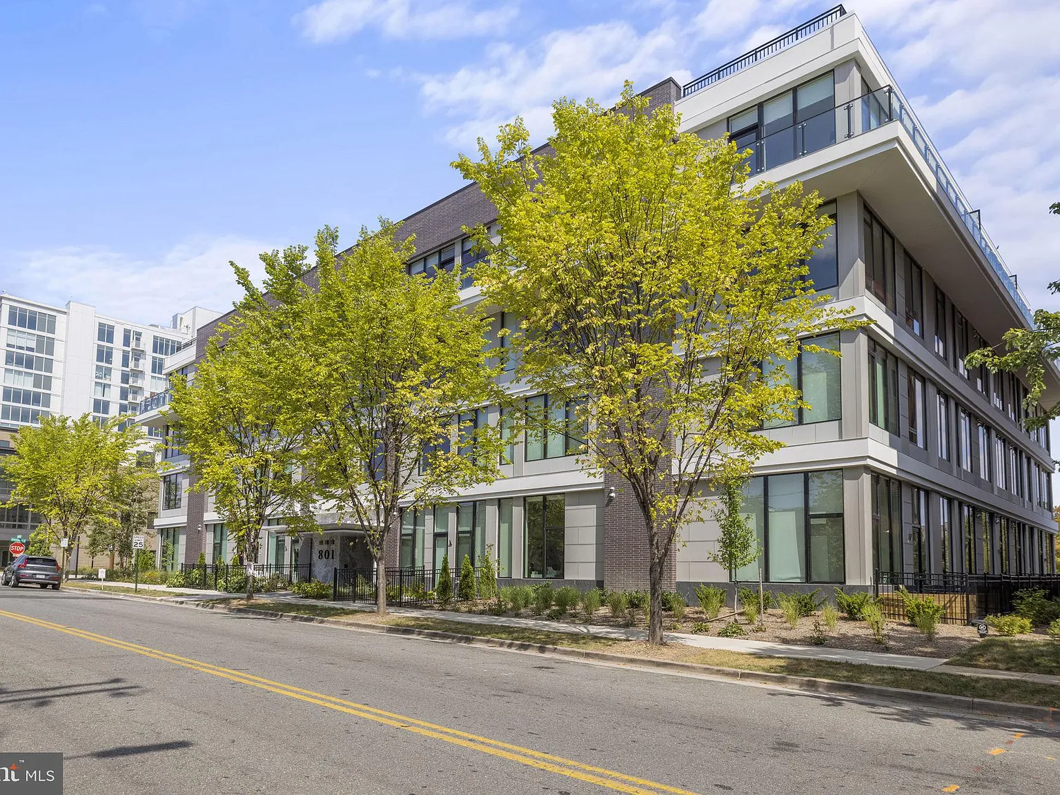 2 bed, 1.0 bath, 775 sqft, $3,750 — Photo 2