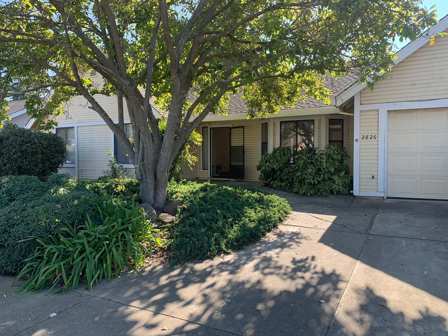 2826 Lorrie Way photo 1