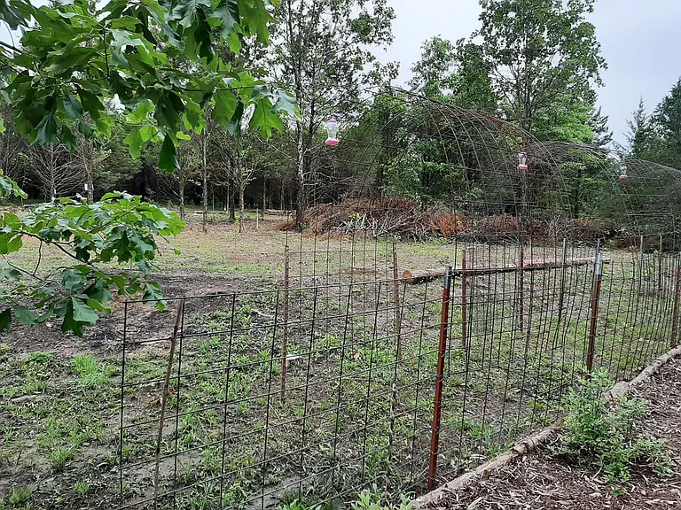 419 Kentucky Valley Rd — Photo 20