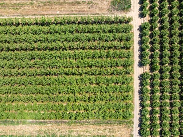 2888 County Road 89, Dunnigan, CA 95937