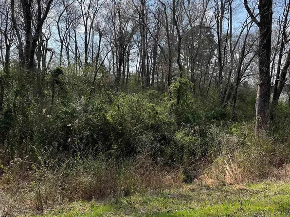 Spring Street Lots #53-56, Hot Springs National Park, AR 71901