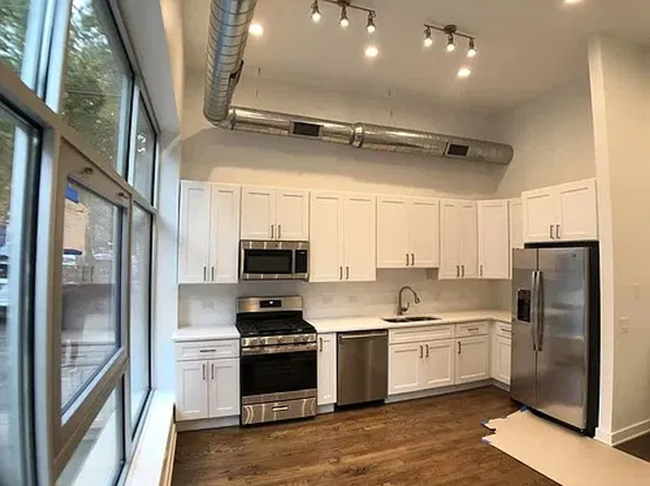 1115 N Hermitage Ave, 1115 N Hermitage Ave #1A, Chicago, IL 60622