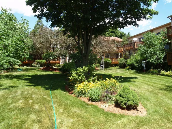 4206 Packard St APT 6, Ann Arbor, MI 48108