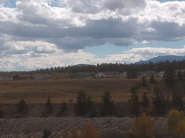 760 Trout Creek Dr, Fairplay, CO 80440