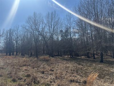 LOT 23 Private Road 44005 Rd, Blossom, TX, 75416