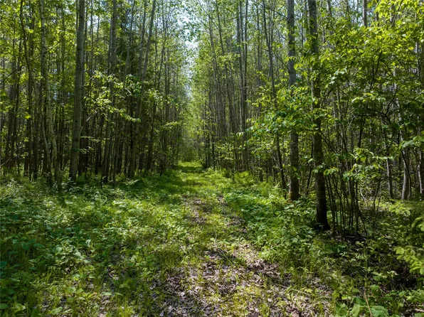 14195 & 14199 County Highway M, Cable, WI 54821