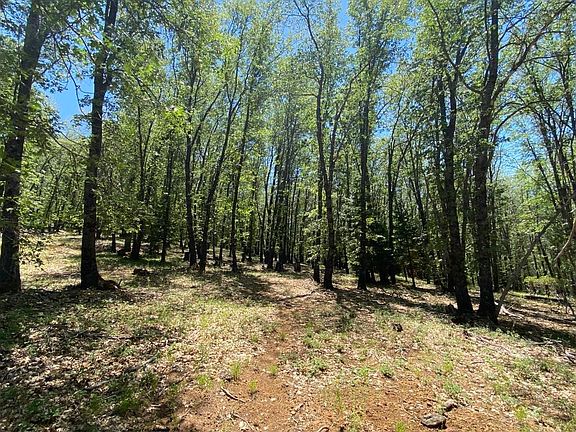 3rd image of 4C Columbine Rd