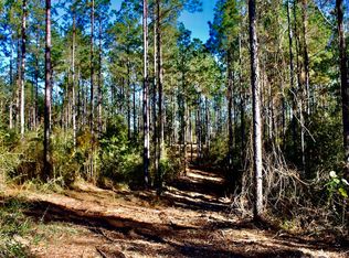 Gates Rd LOT WP001, Columbia, MS 39429