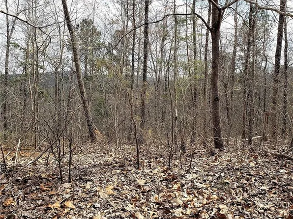 931 Aurora Ln #931, Ranger, GA 30734