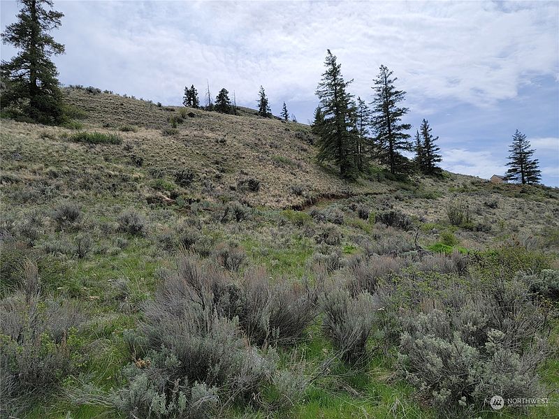 4th image of 98 Tyee View Loop RD