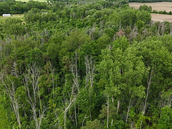 4th image of 0 Shelby Barre Townline Rd