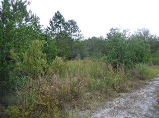 Black Lake Rd, Osteen, FL 32764