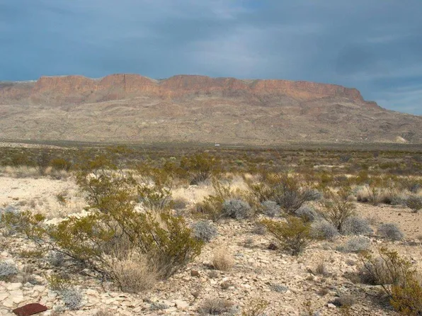 15170 State Highway 118 S #H-101, Terlingua, TX 79852