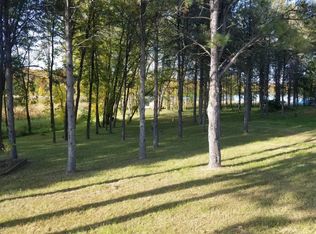 28415 W Silent Dr, Dent, MN 56528