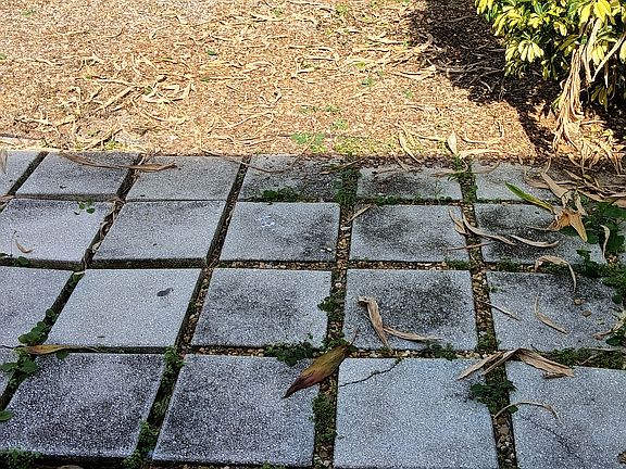 3rd image of 2794 Gray Fox Ln