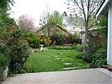 back yard